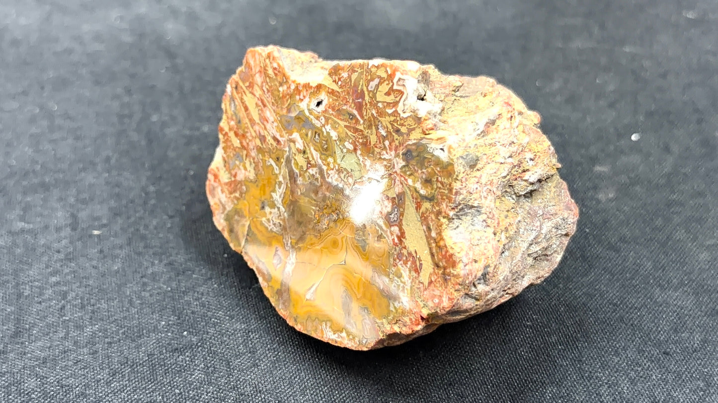 Kentucky Agate and Dolostone