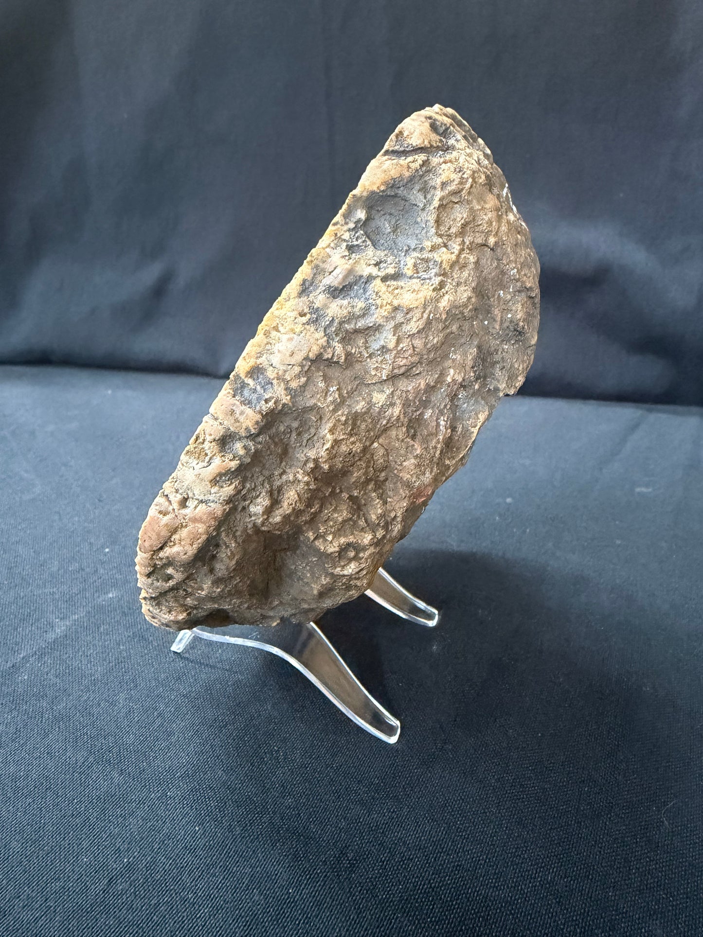 “Evil Pac Man” KY Agate