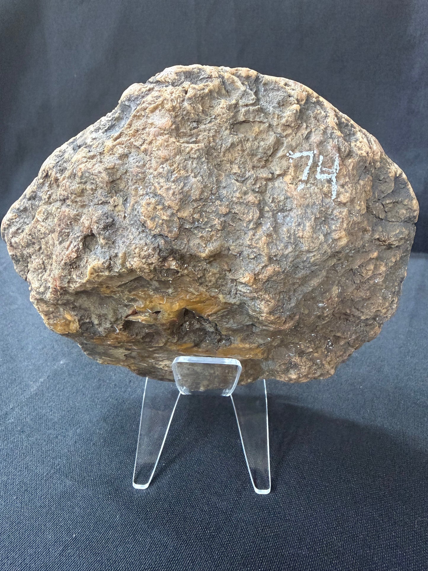 “Evil Pac Man” KY Agate