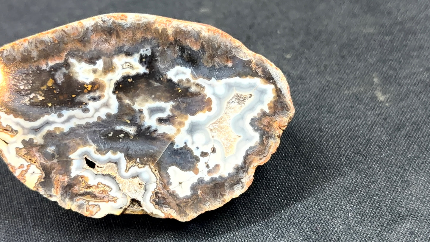 Gray and Neutral Toned Kentucky Agate