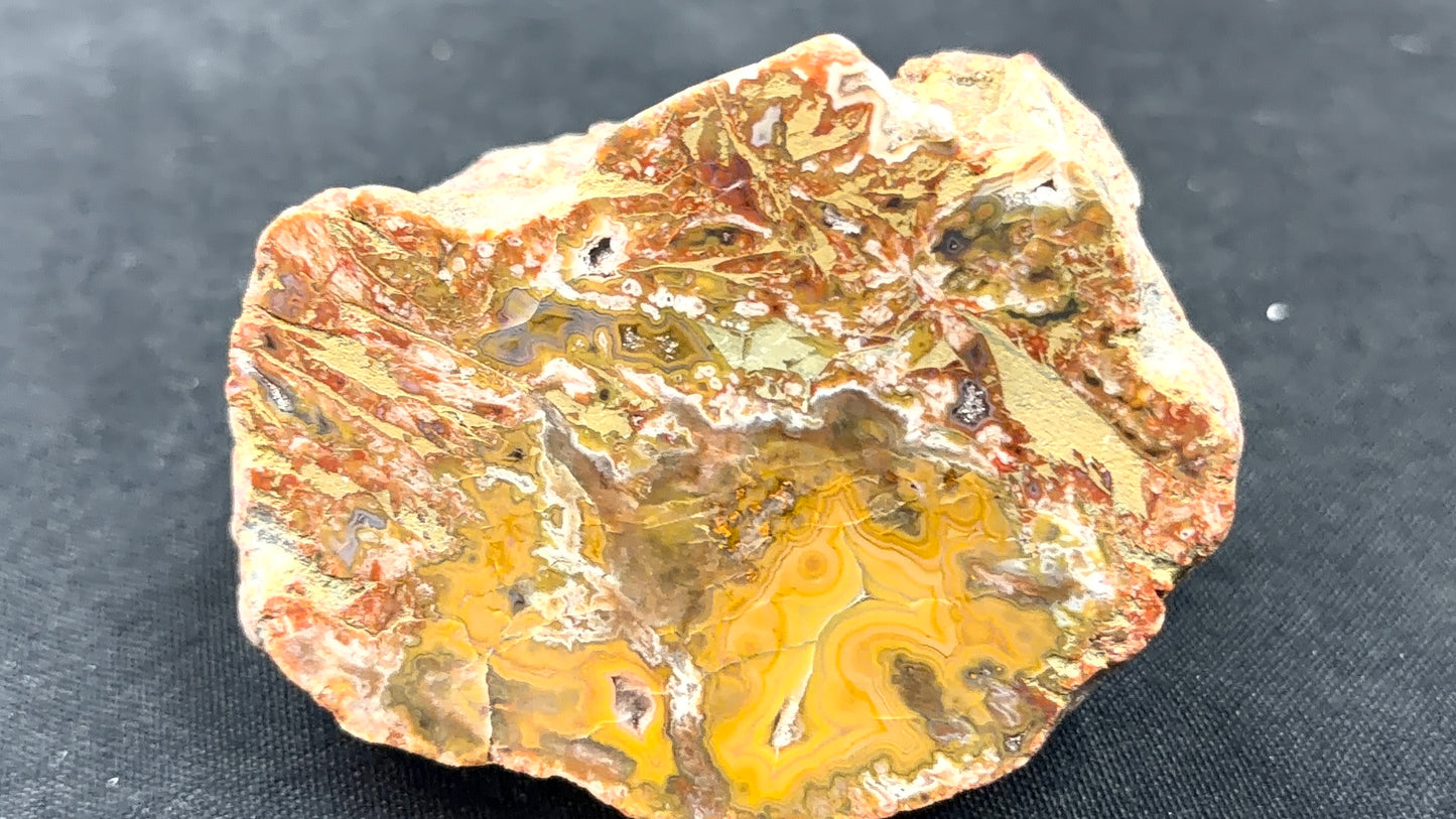 Kentucky Agate and Dolostone
