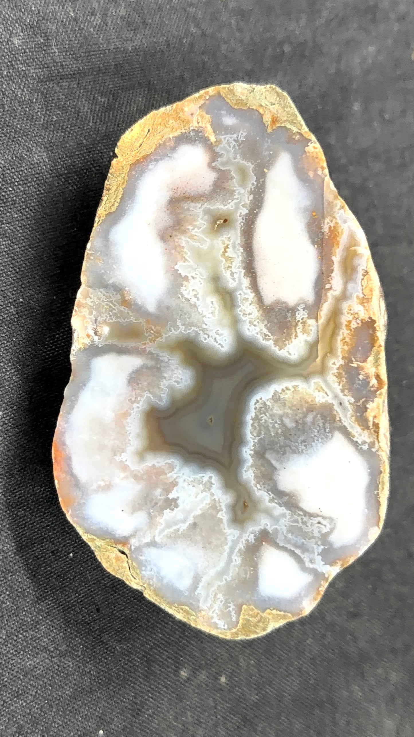 Gray Banded Moss Kentucky Agate