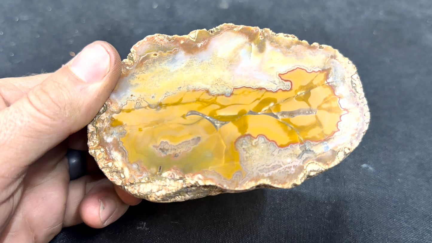 Red ghost band and Yellow Kentucky Agate