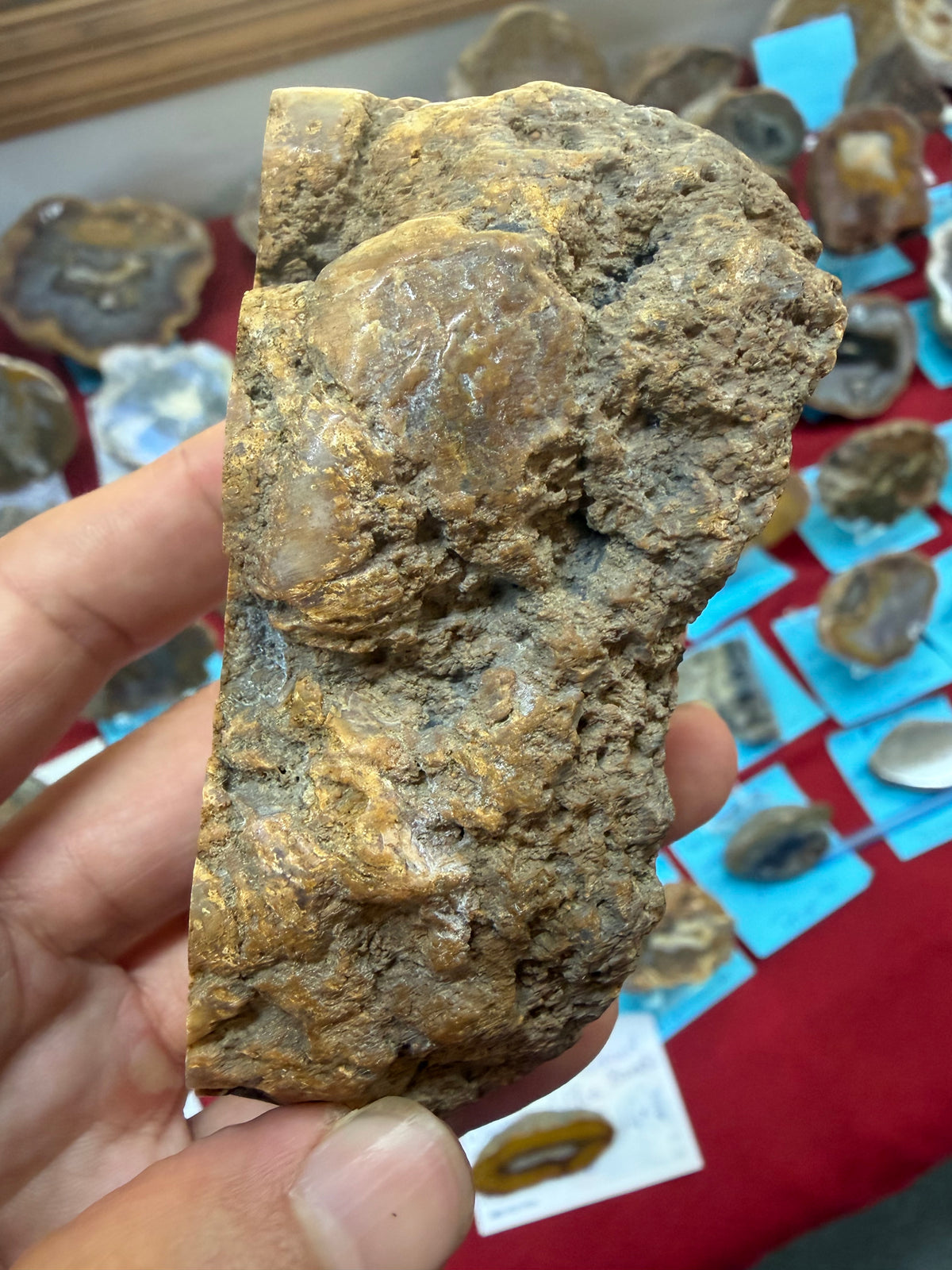 Collapsed Drip Agate