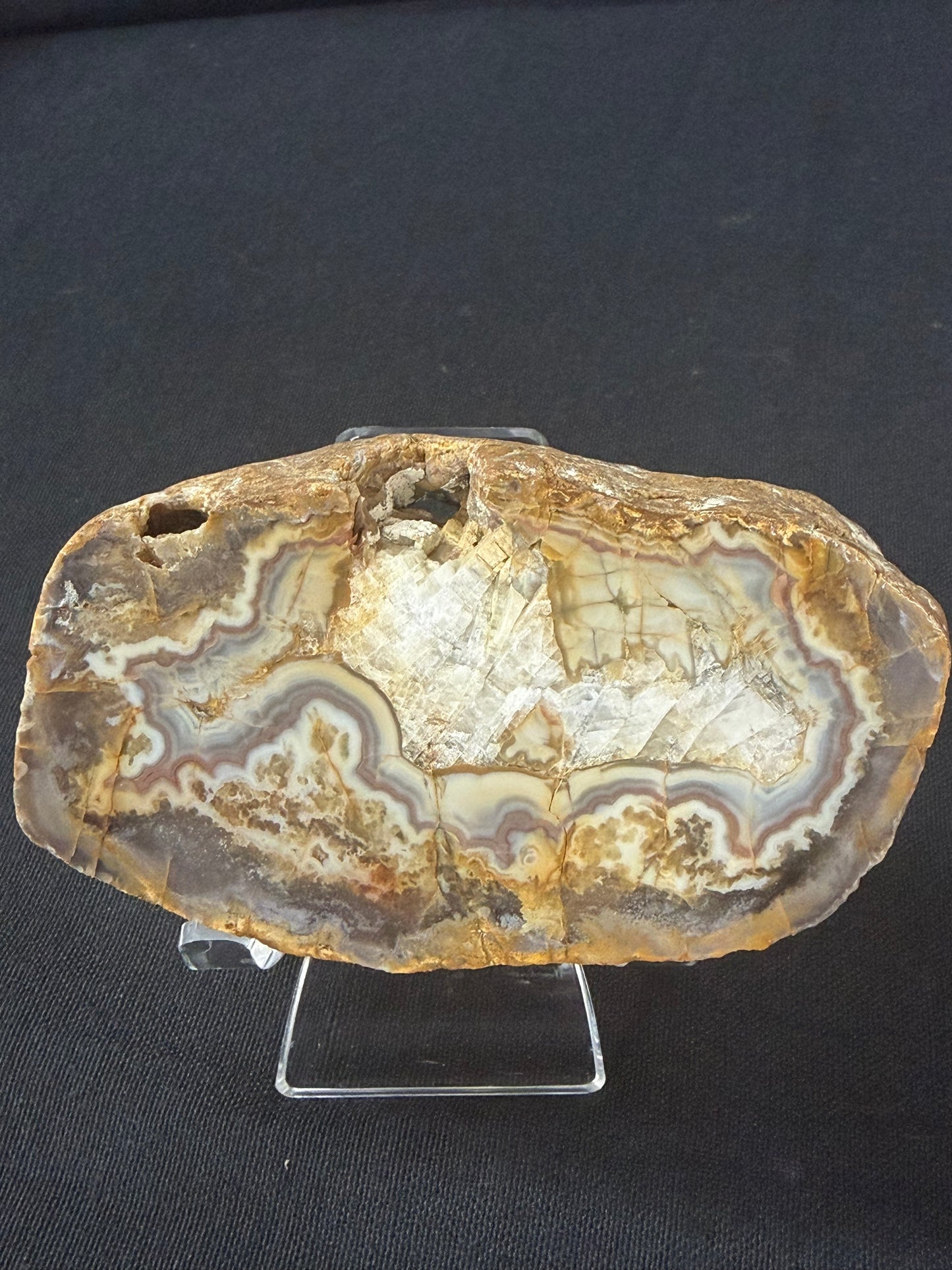 “Hippo” KY Agate