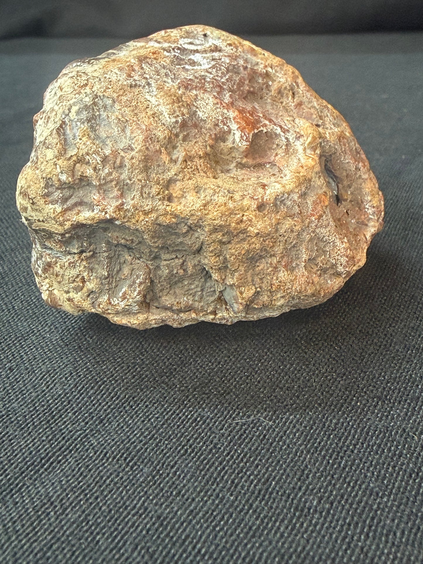 “The Swimmer” KY Agate