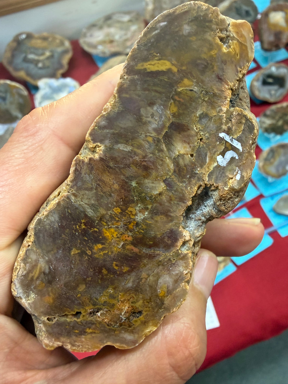 Collapsed Drip Agate