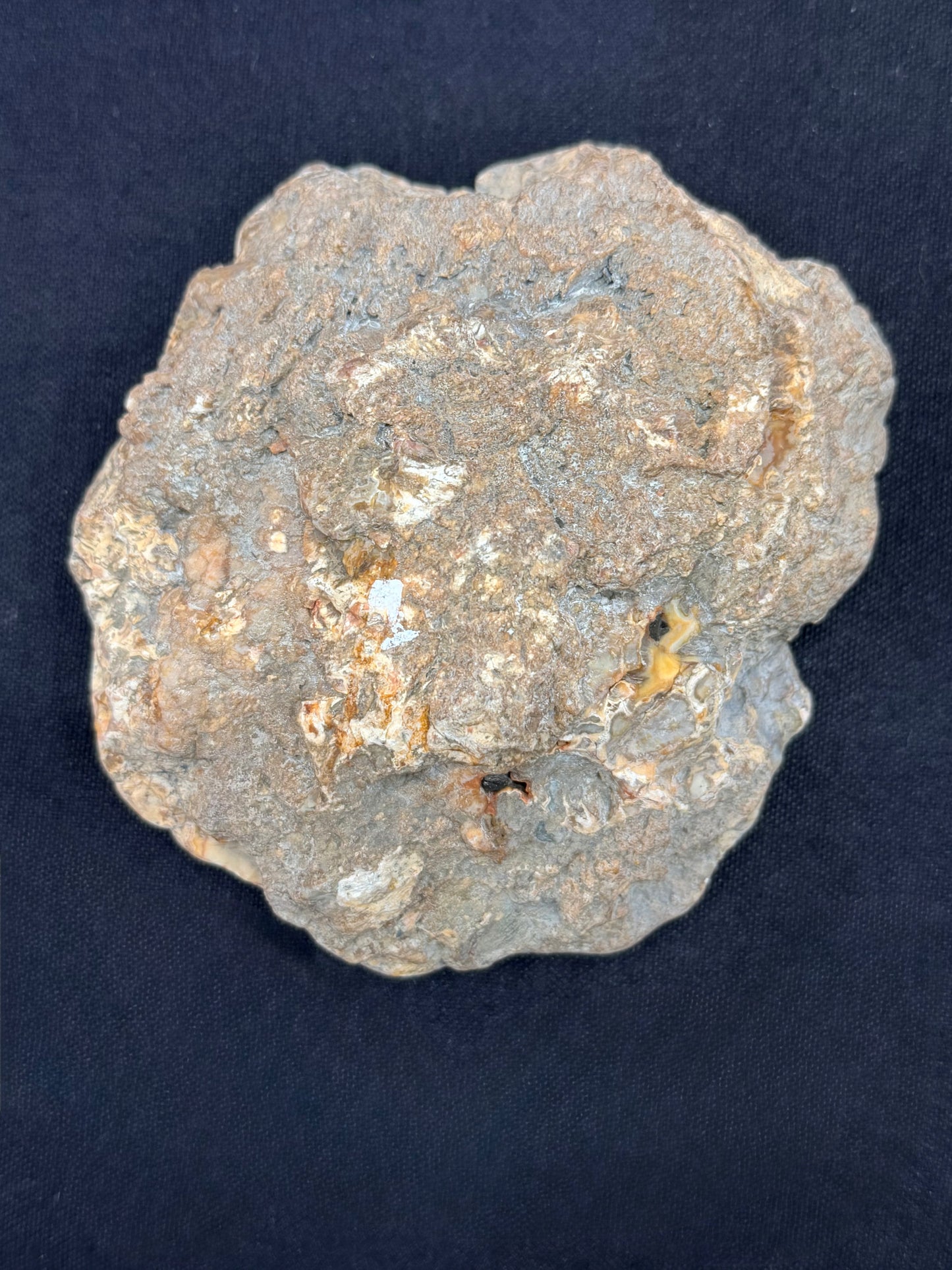 Yellow Banded Kentucky Agate