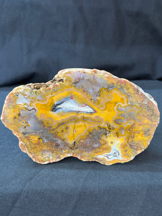 “Bands and Moss” KY Agate