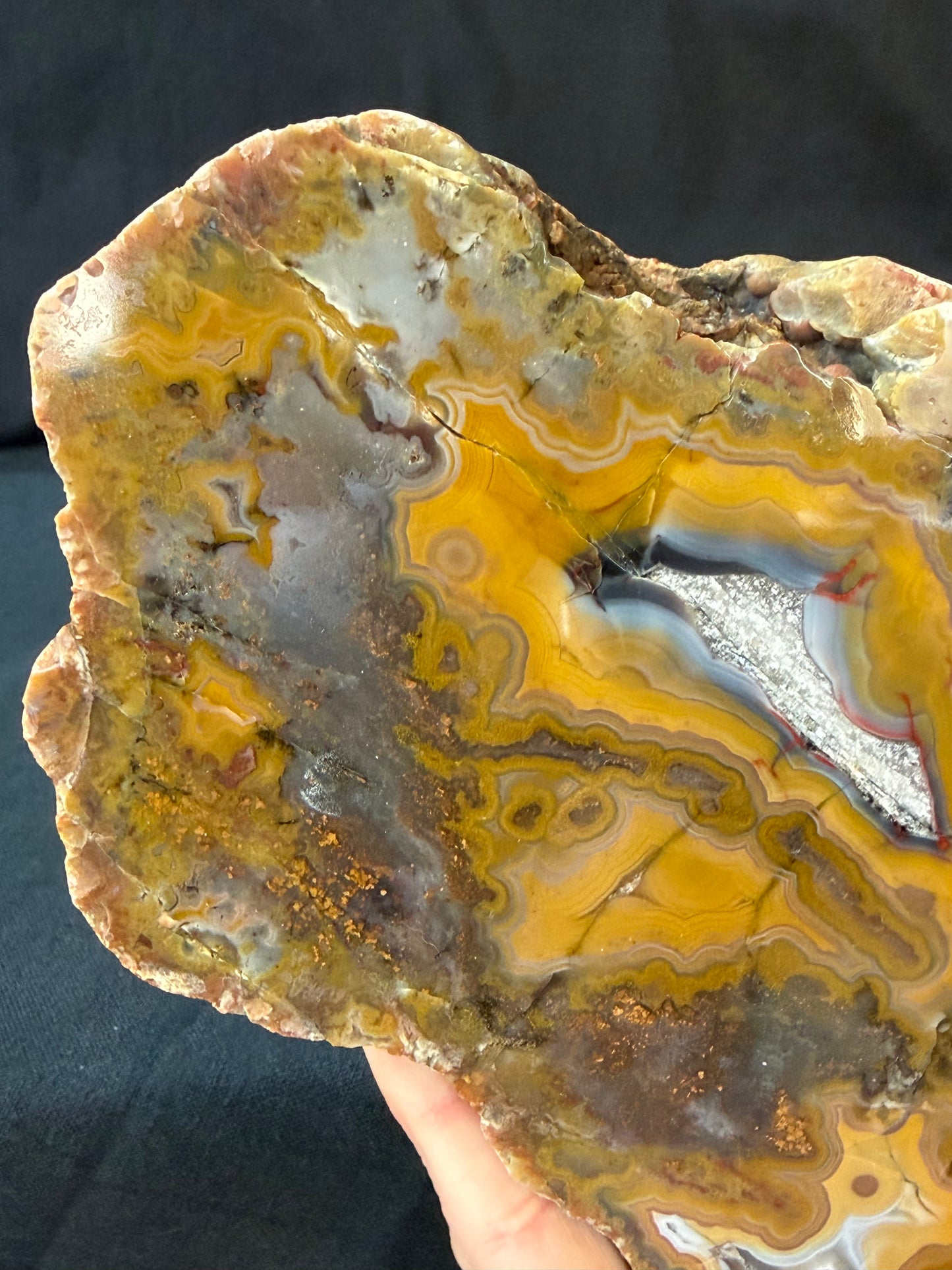“Bands and Moss” KY Agate