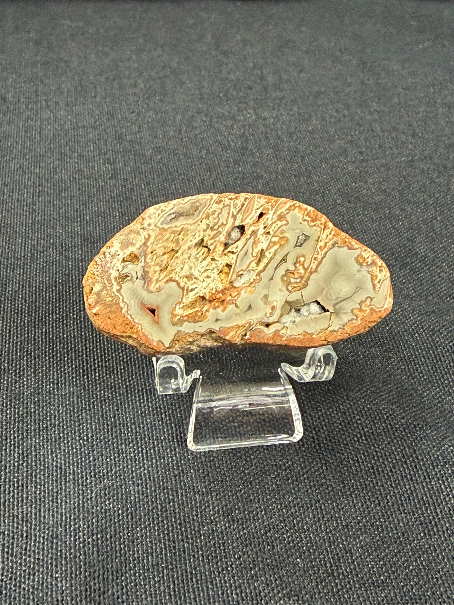 “Bottom Dweller” KY Agate