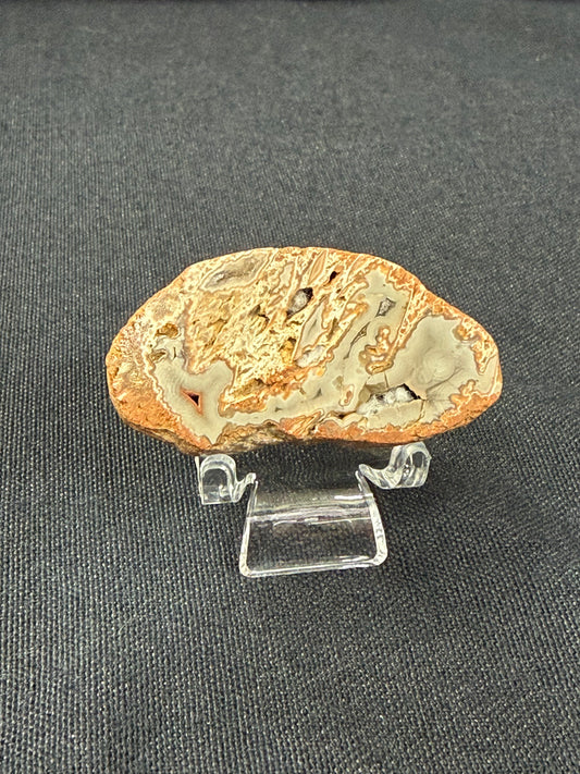 “Bottom Dweller” KY Agate