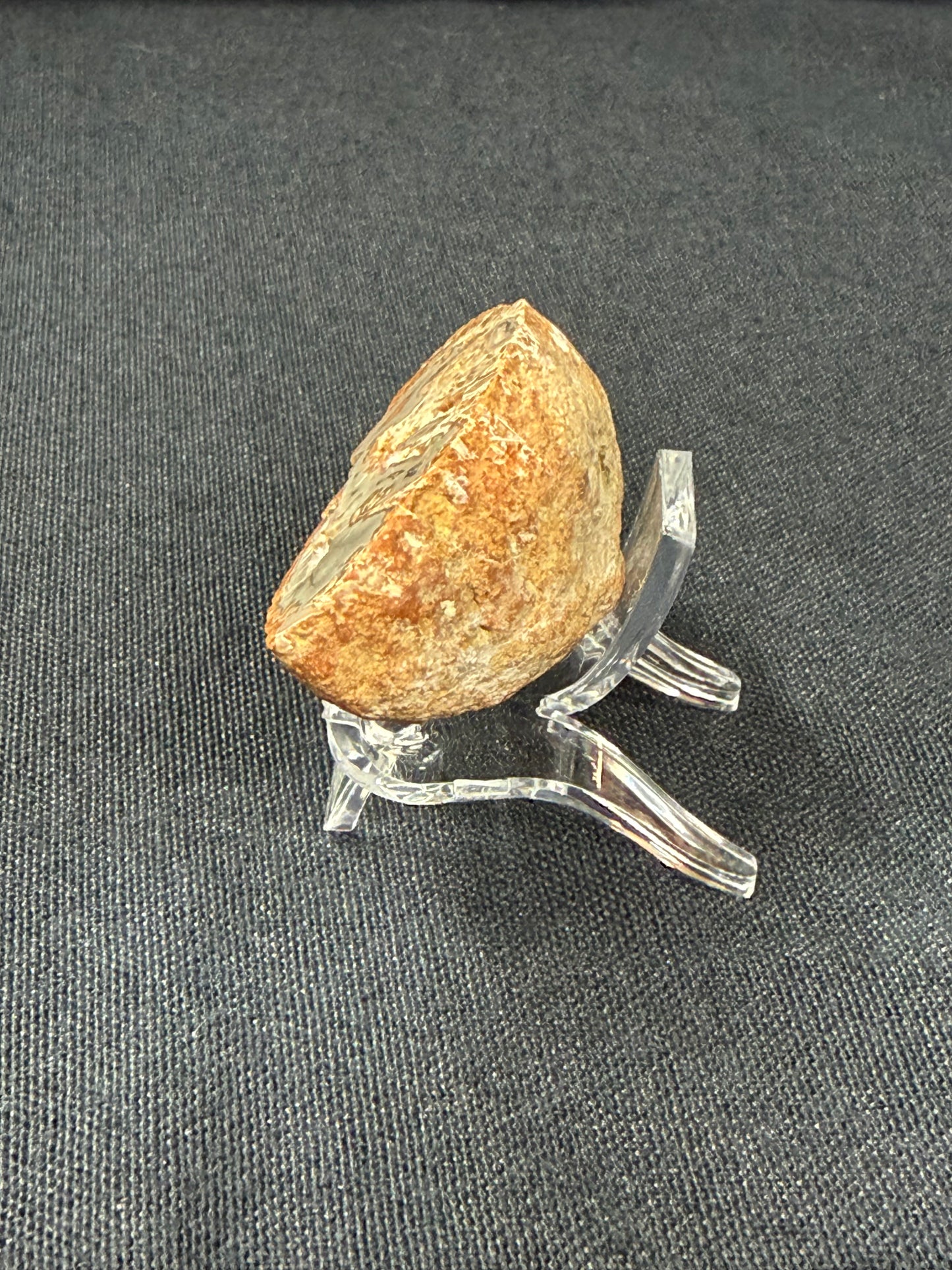 “Bottom Dweller” KY Agate