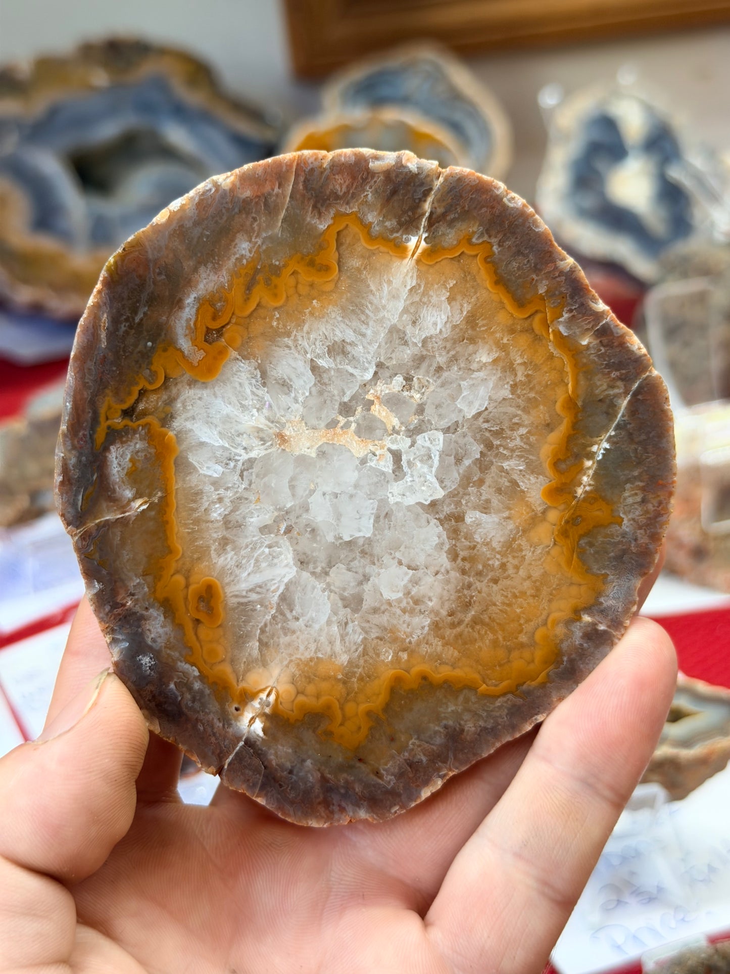 Bands and floaters Ky agate