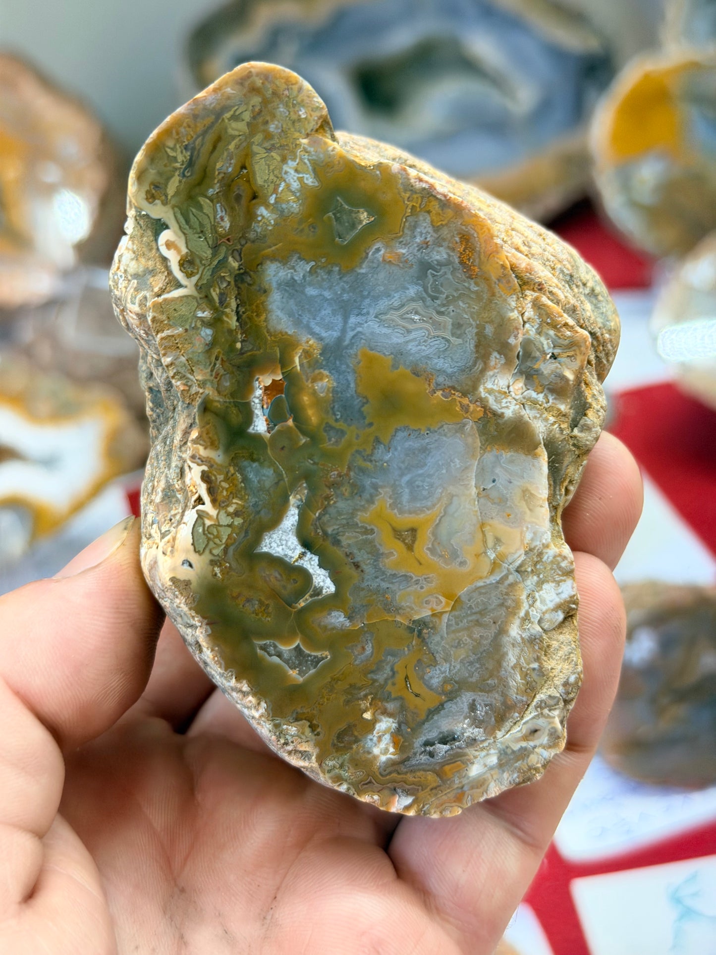 Yellow triangle Kentucky Agate