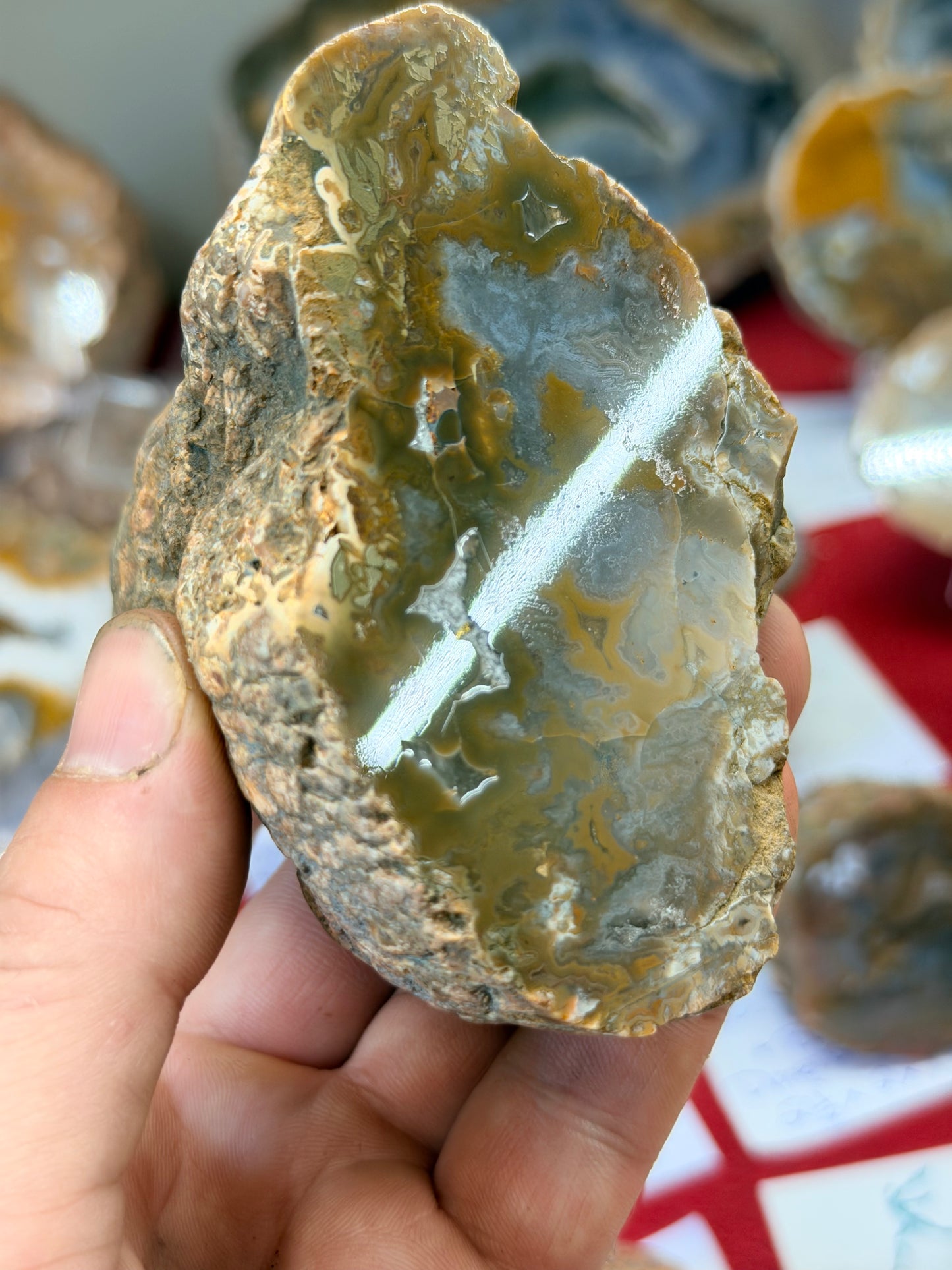 Yellow triangle Kentucky Agate