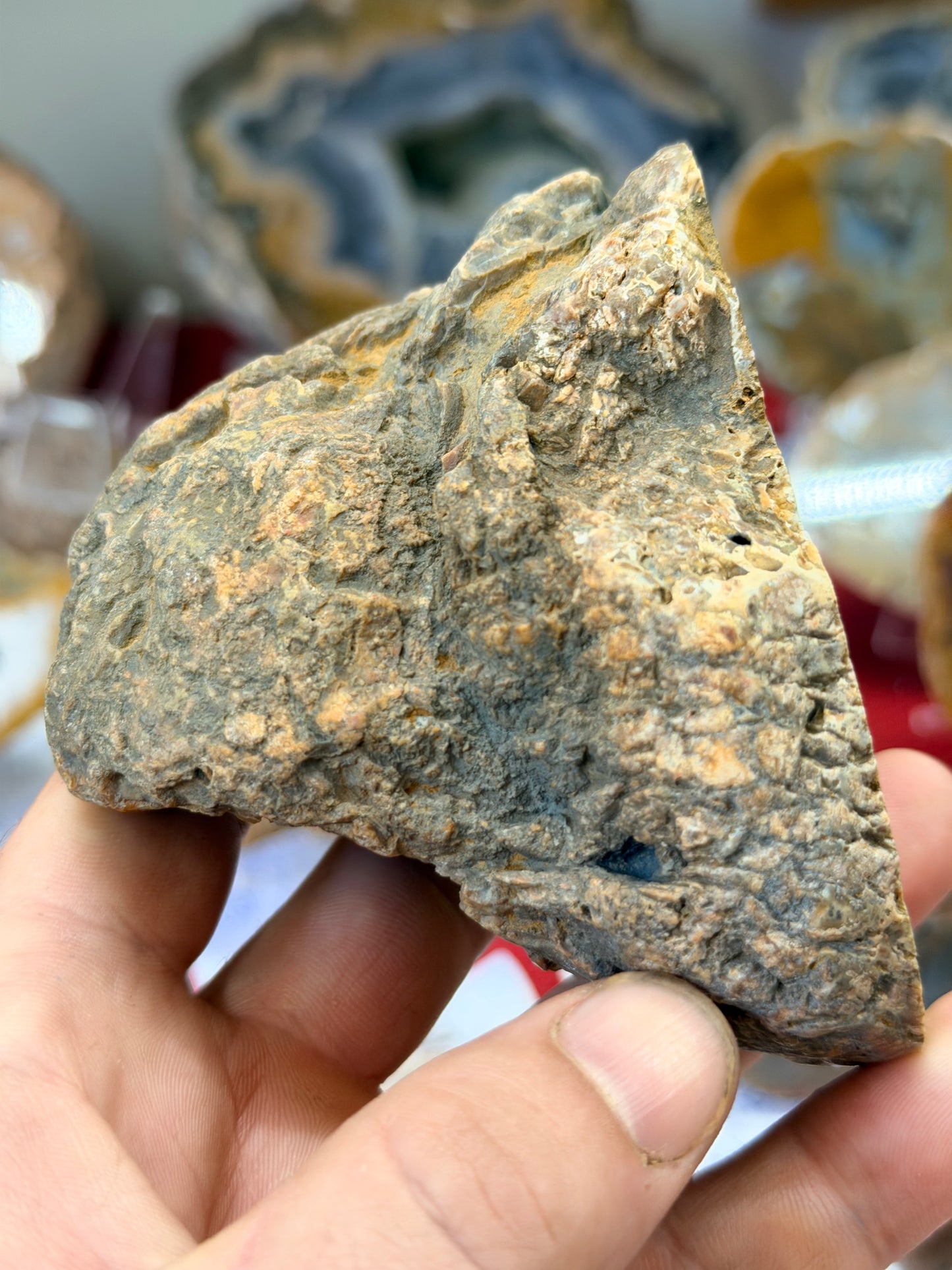 Yellow triangle Kentucky Agate