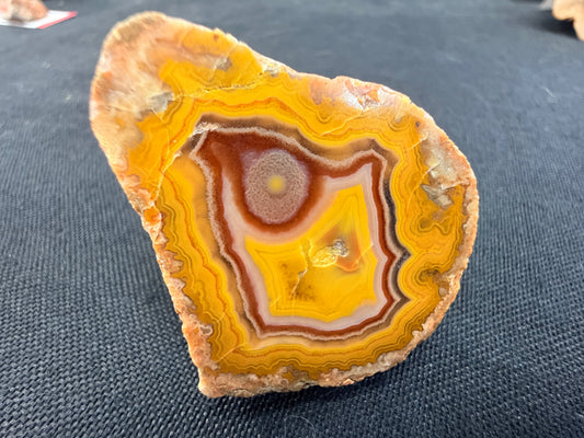 Purple Bullseye Kentucky Agate