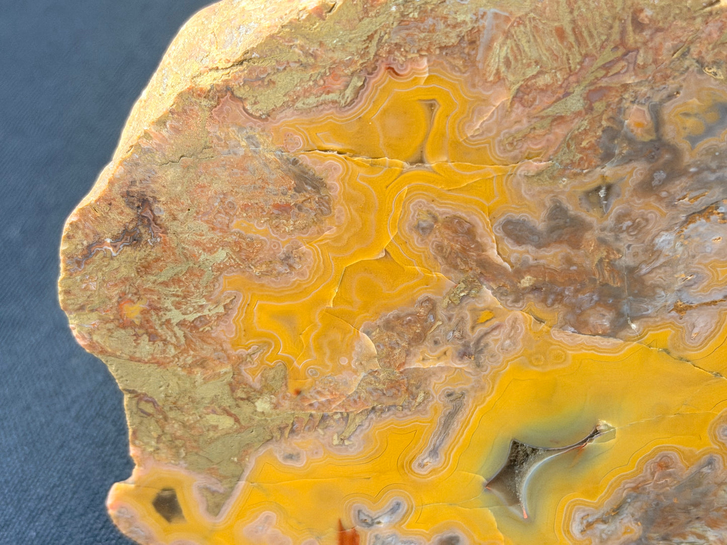 Yellow banded Beauty! Ky agate