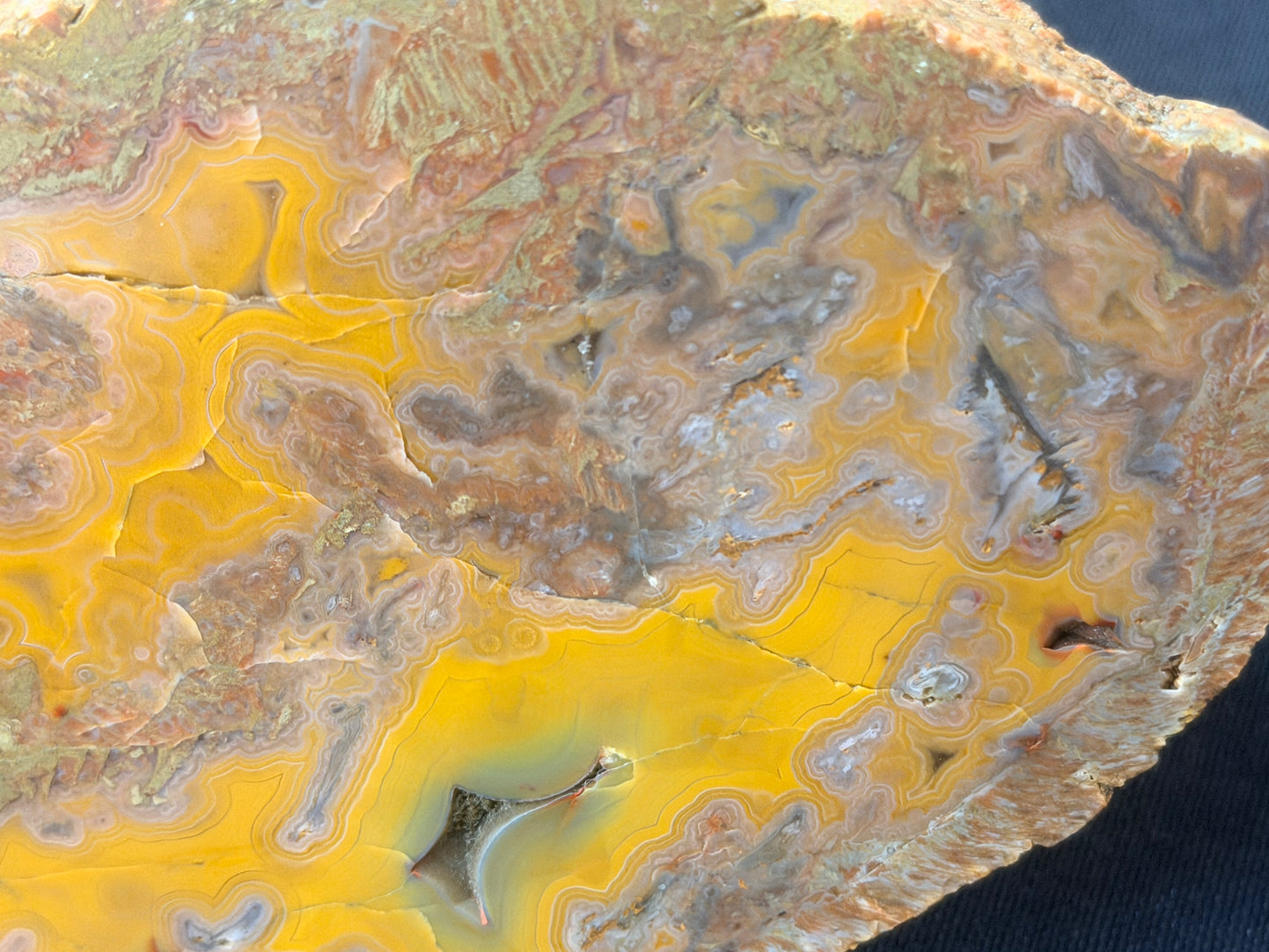 Yellow banded Beauty! Ky agate