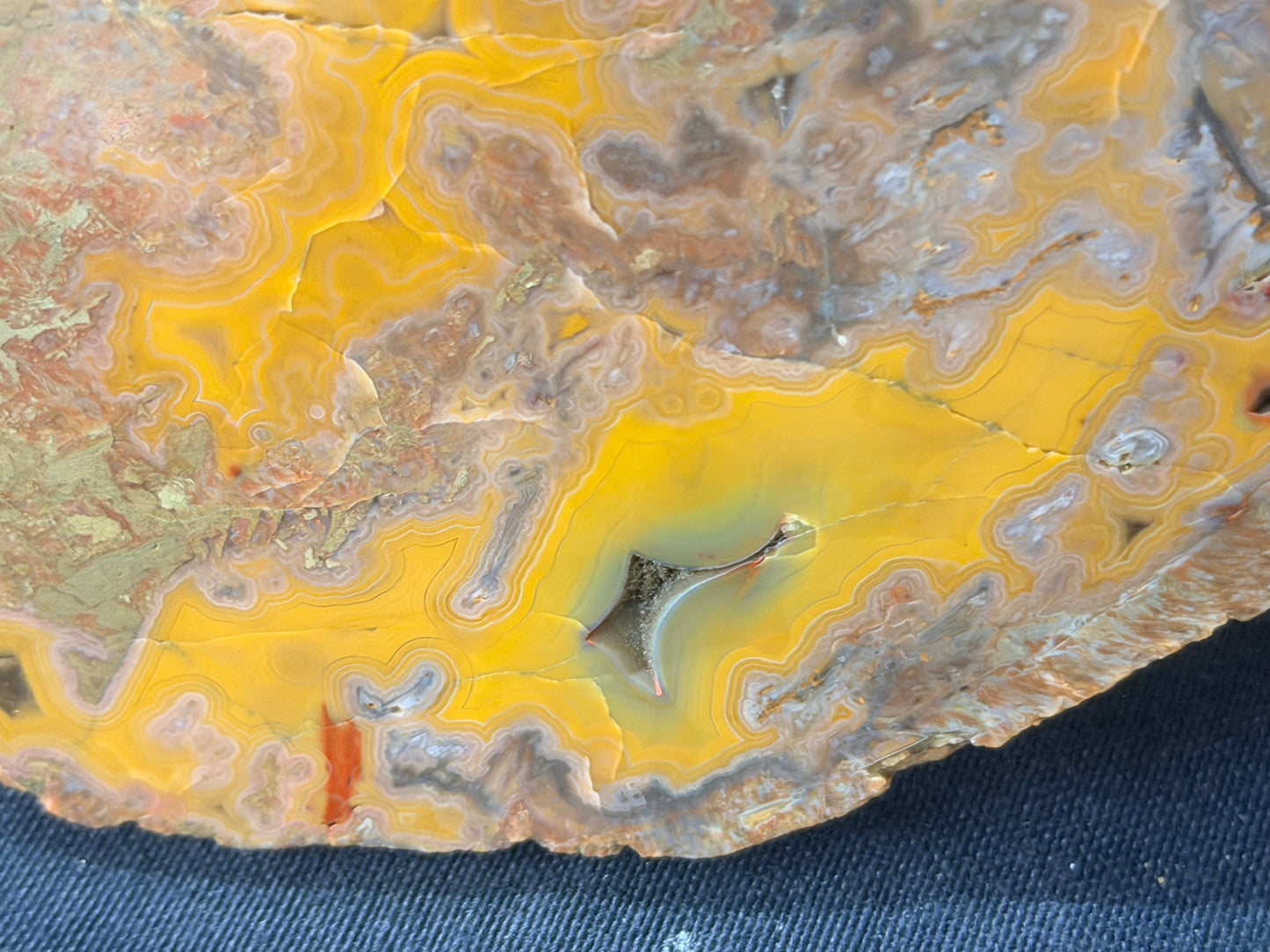 Yellow banded Beauty! Ky agate