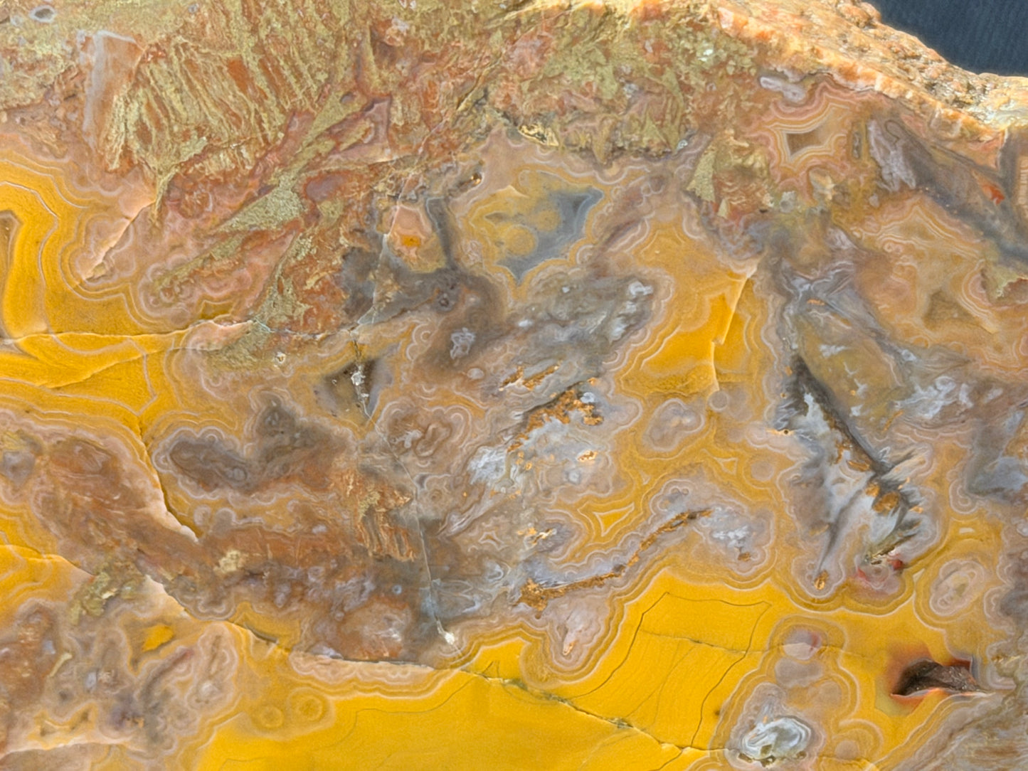 Yellow banded Beauty! Ky agate