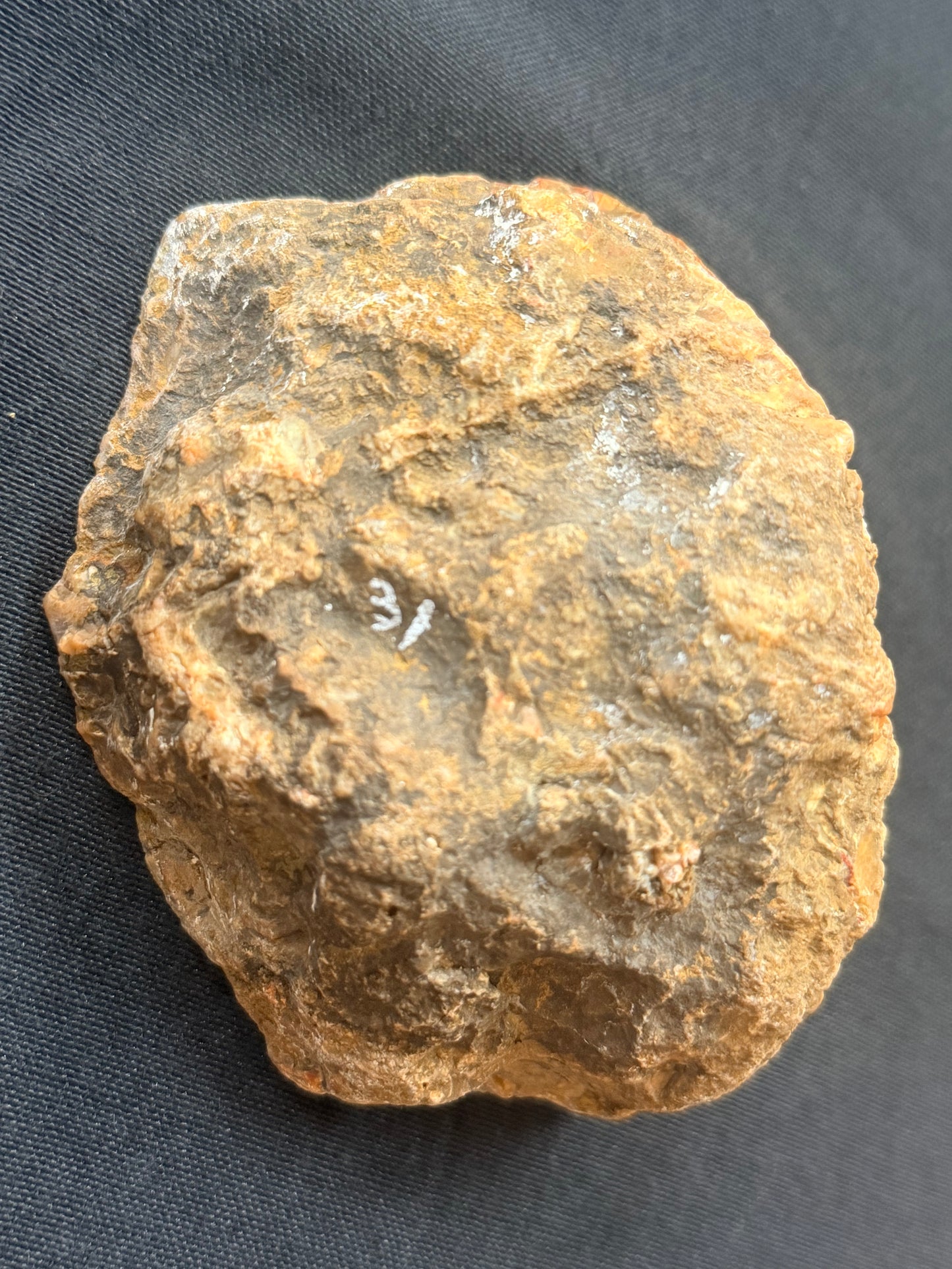 Kentucky Agate with Glauconite inclusions