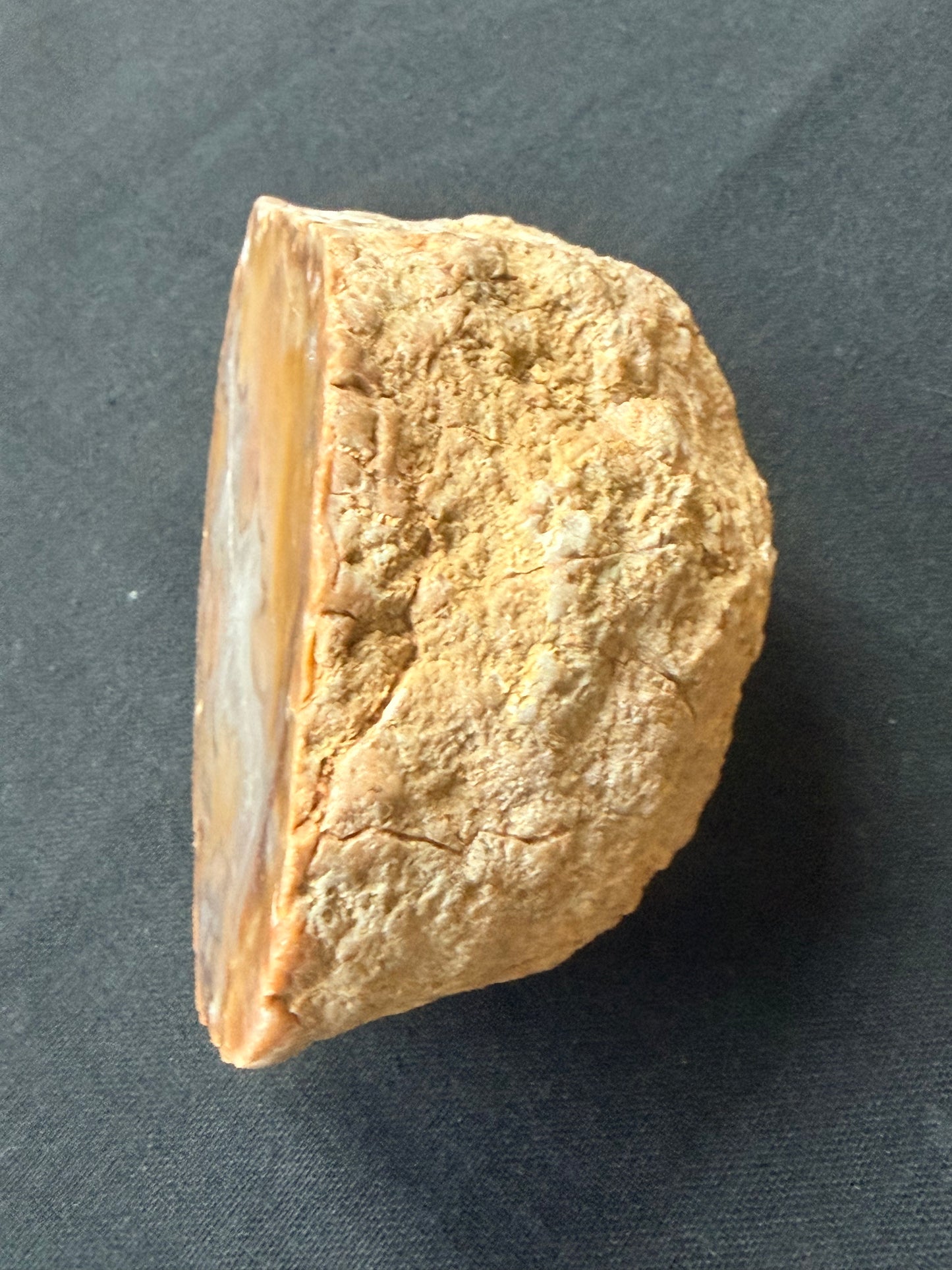 Mossy Kentucky Agate with a quartz belly