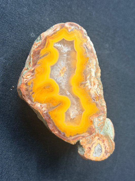 Multi Nodule Yellow Kentucky Agate