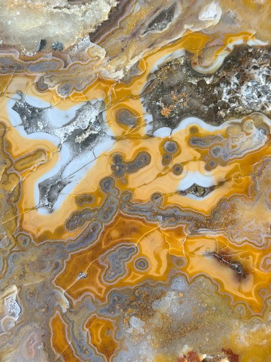 Erratic Kentucky Agate!