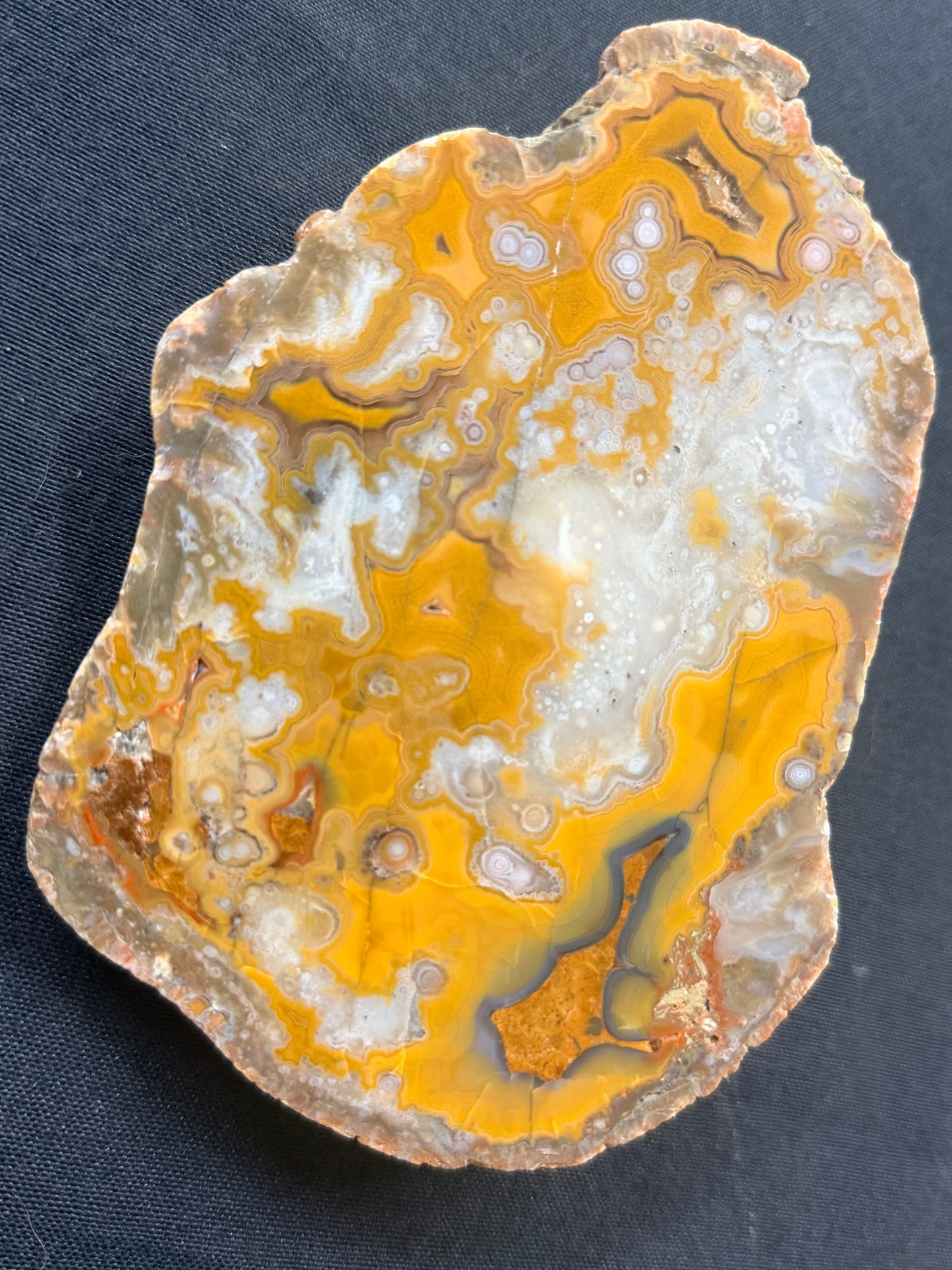 Eyeball Kentucky Agate with excellent Banding