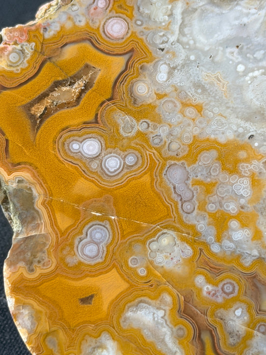 Eyeball Kentucky Agate with excellent Banding