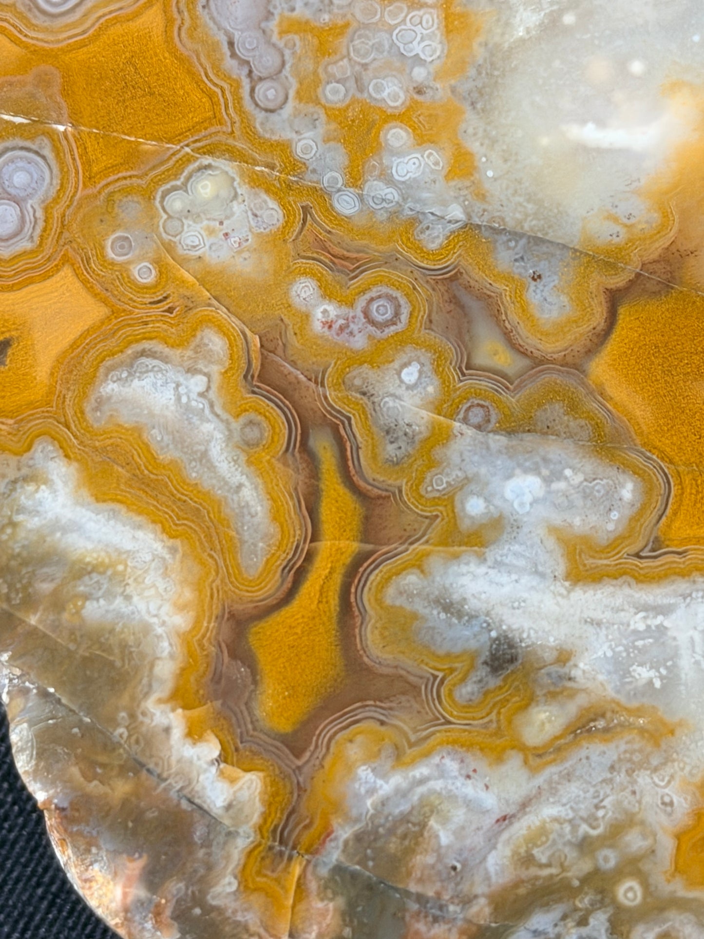 Eyeball Kentucky Agate with excellent Banding