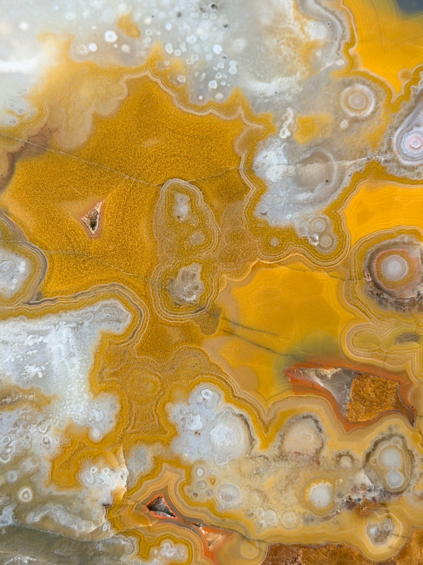 Eyeball Kentucky Agate with excellent Banding