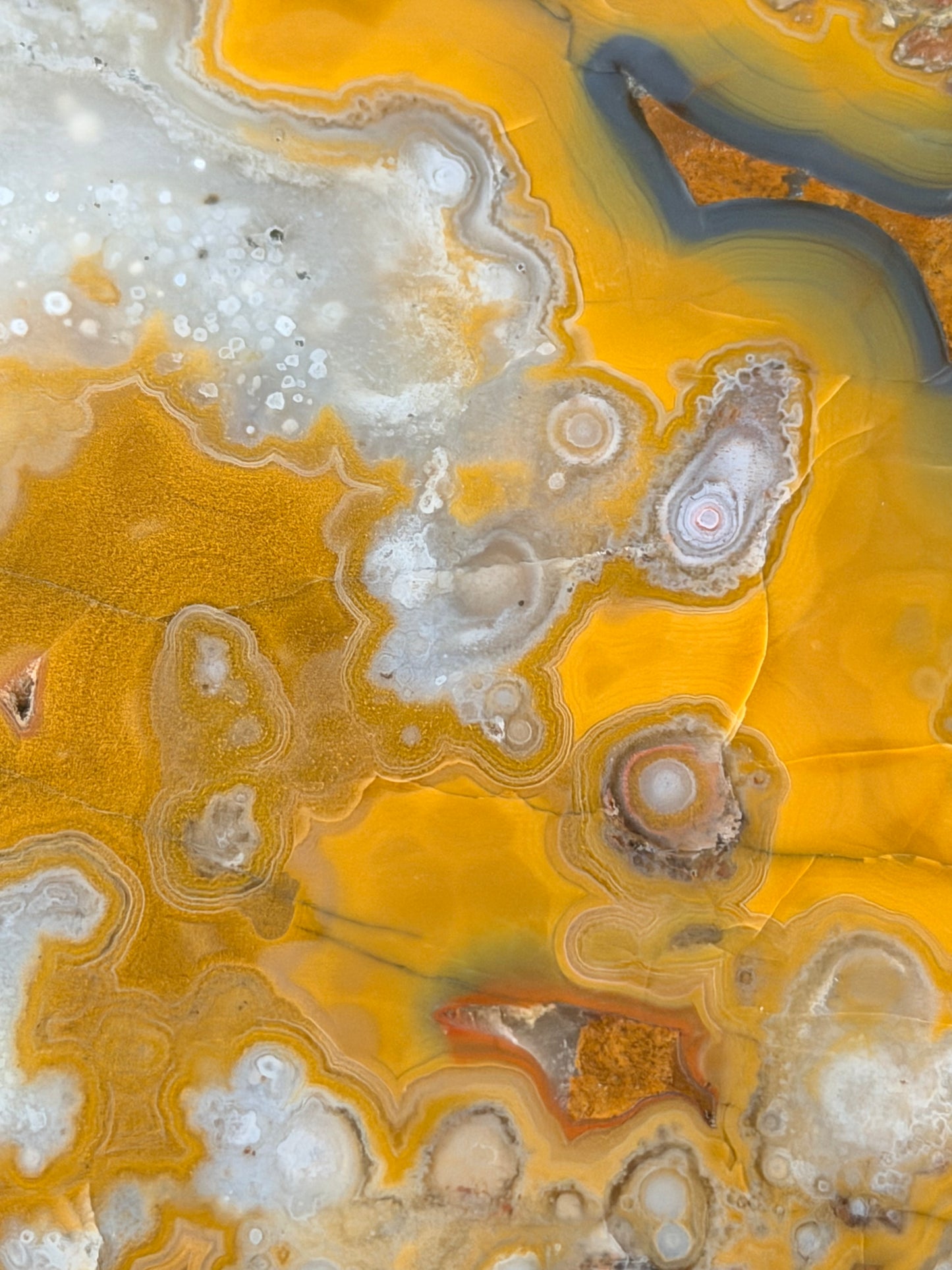 Eyeball Kentucky Agate with excellent Banding