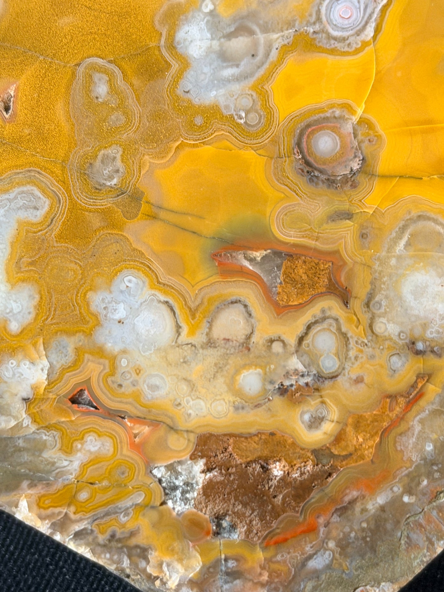 Eyeball Kentucky Agate with excellent Banding