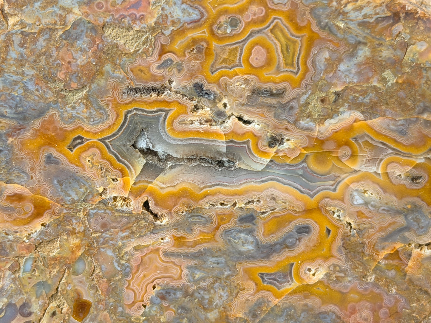 Pink eyes! Kentucky Agate