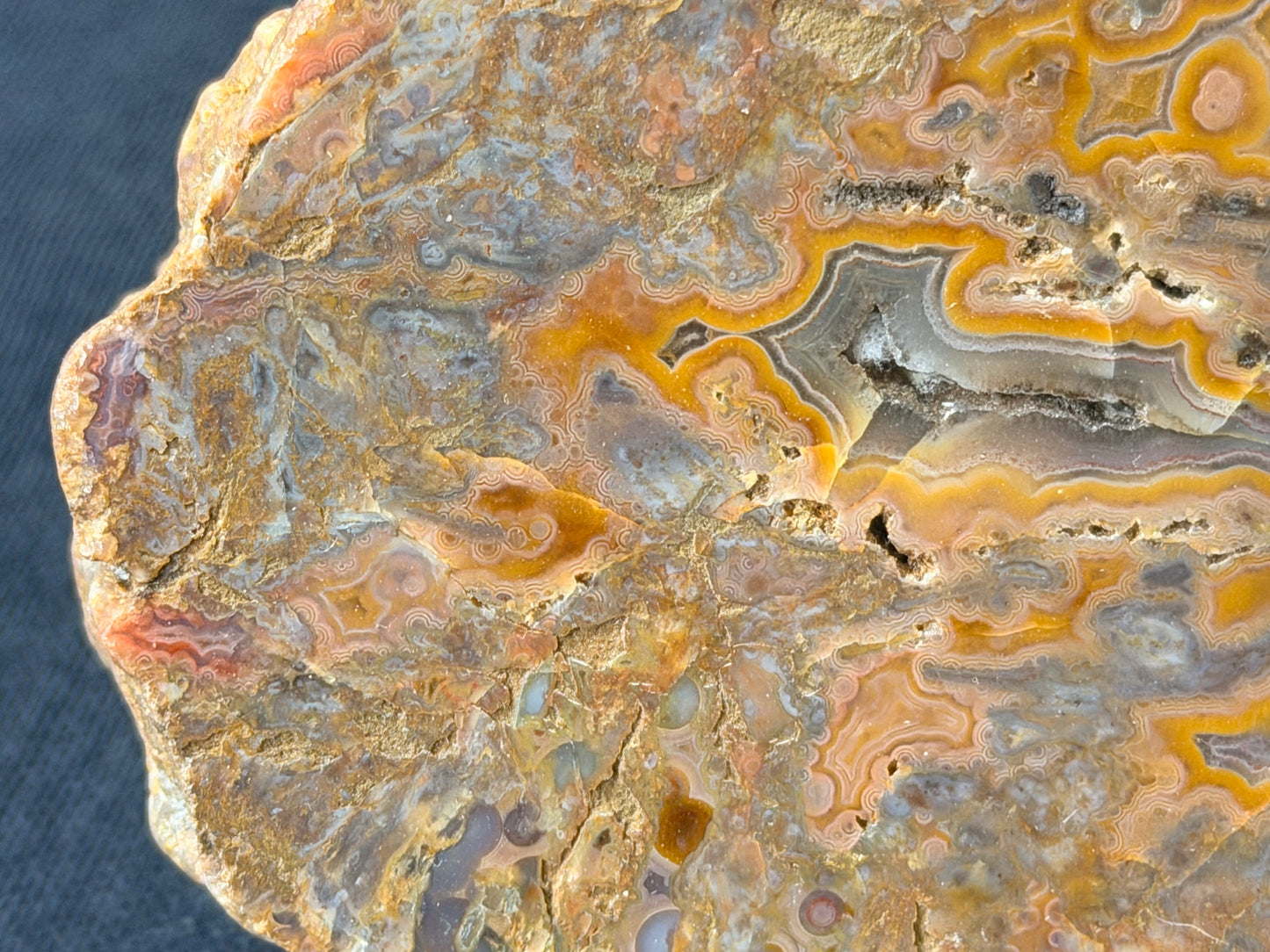 Pink eyes! Kentucky Agate