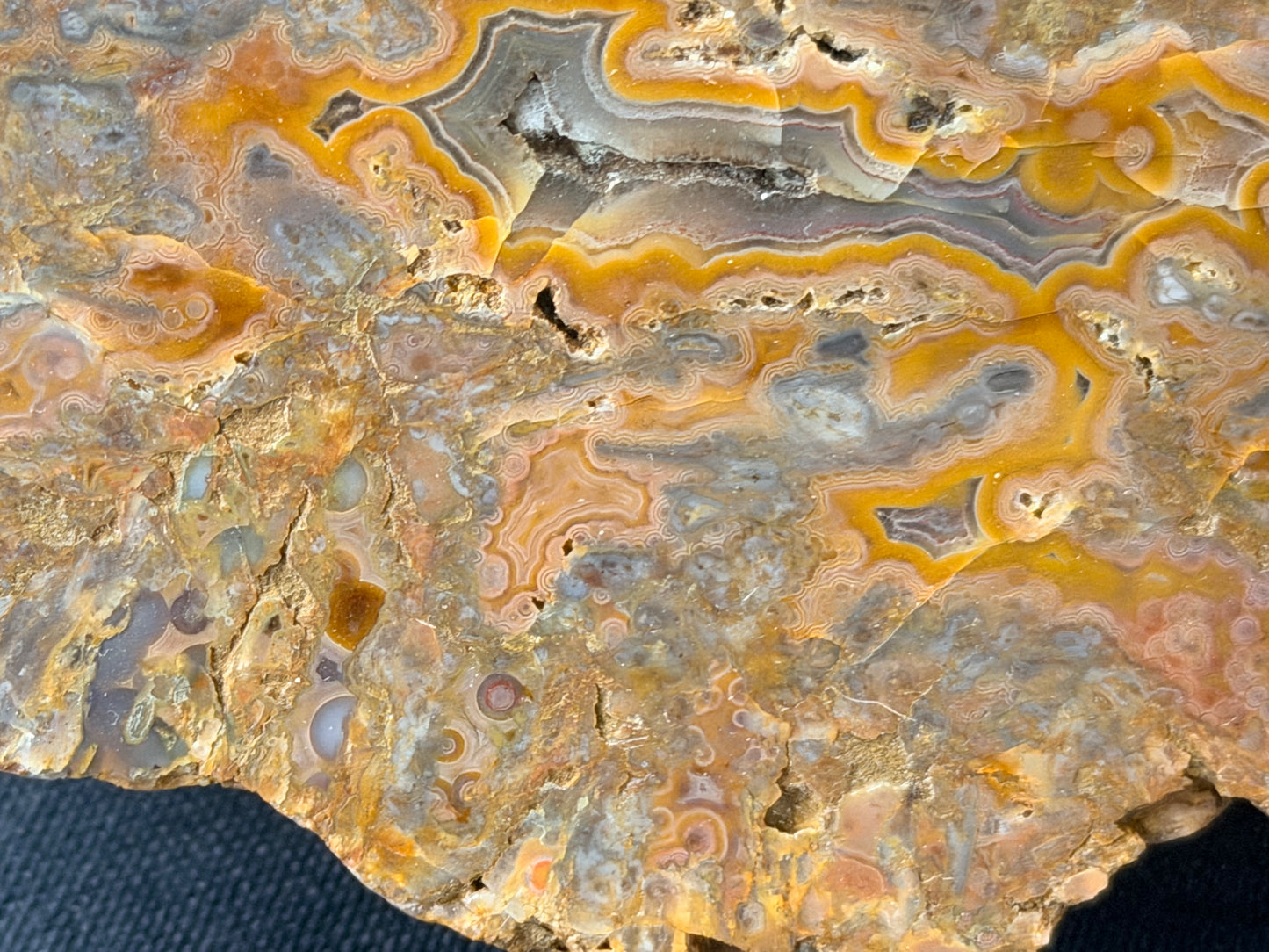 Pink eyes! Kentucky Agate