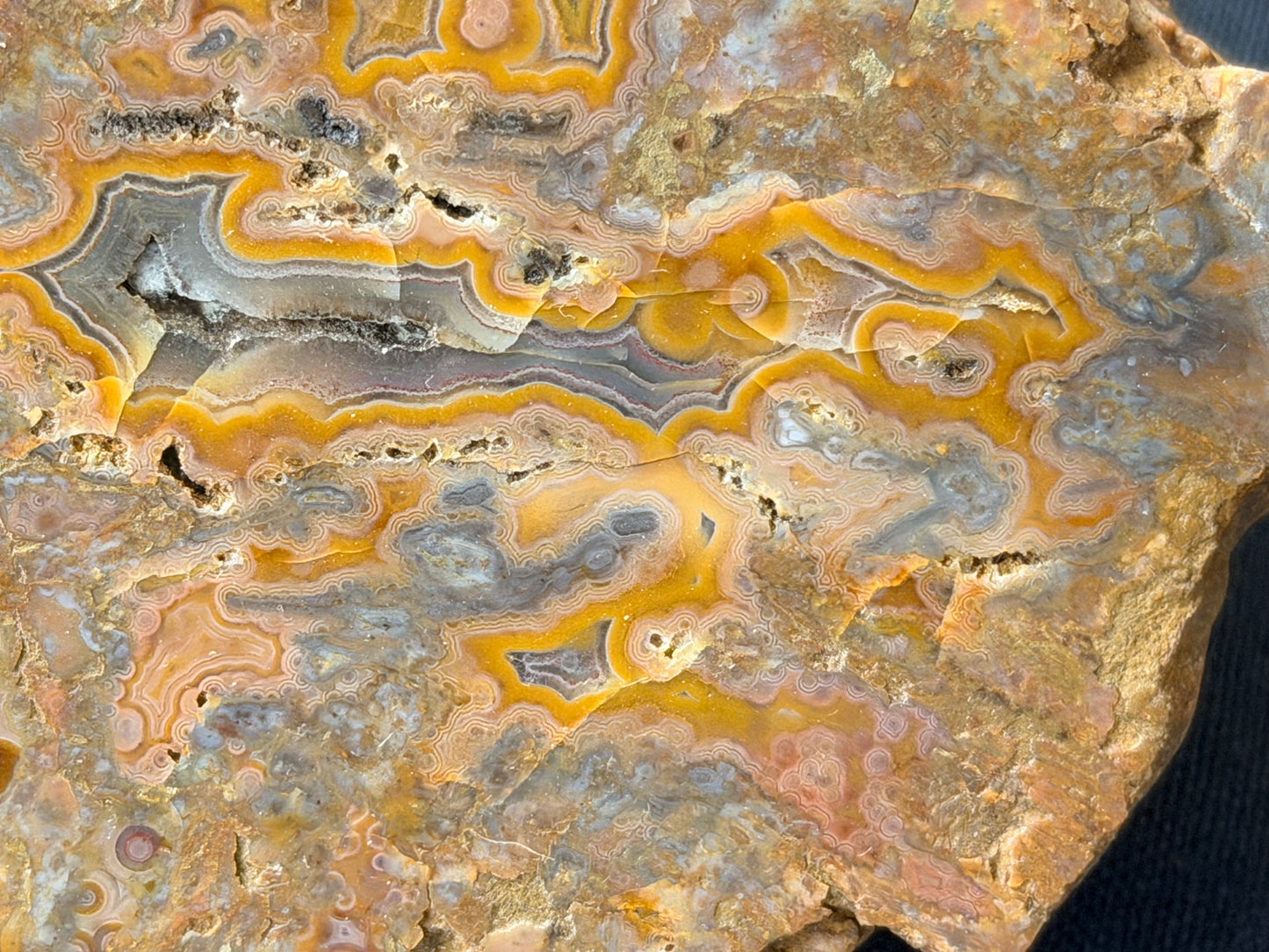 Pink eyes! Kentucky Agate