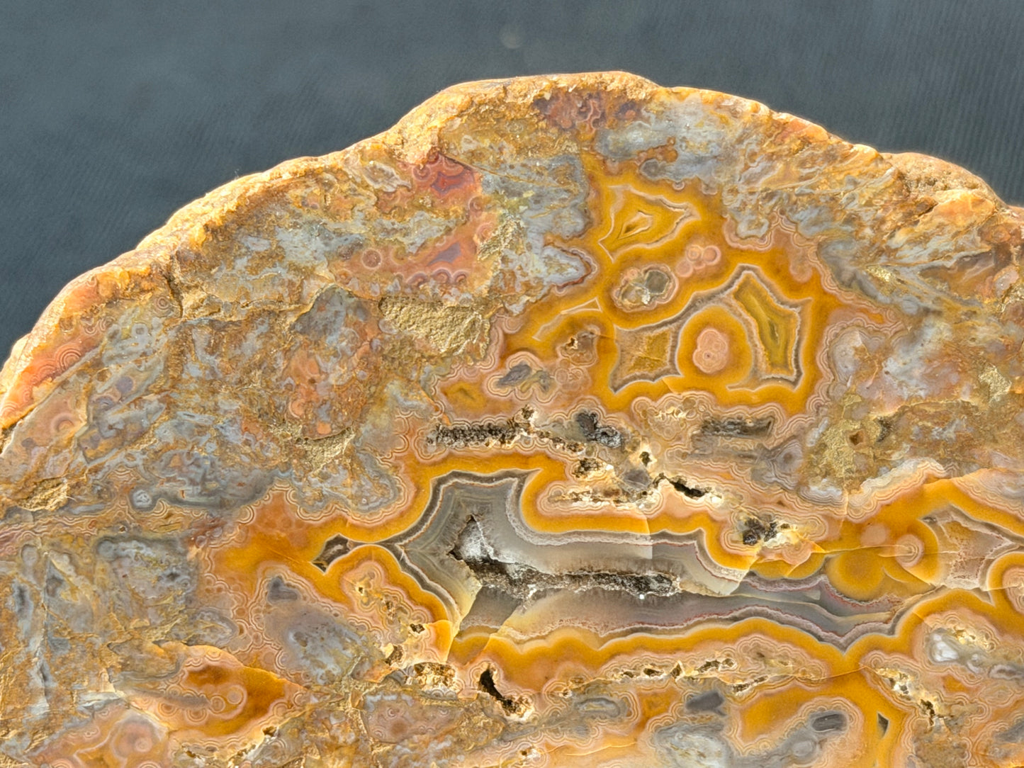 Pink eyes! Kentucky Agate