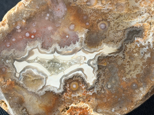 “Galactic Horse” Kentucky agate