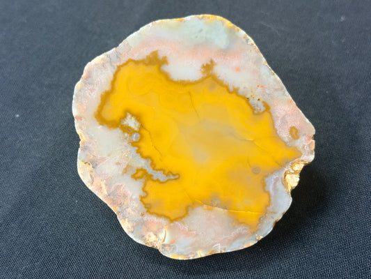 “Reptar” Kentucky agate