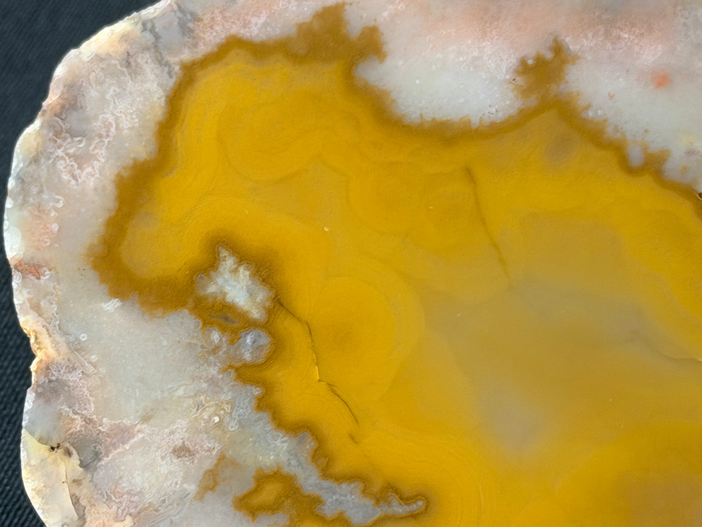 “Reptar” Kentucky agate