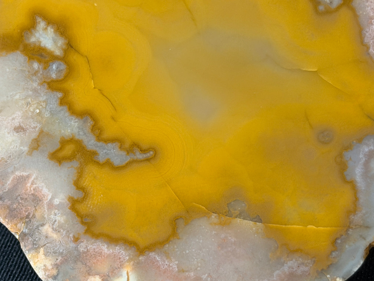 “Reptar” Kentucky agate