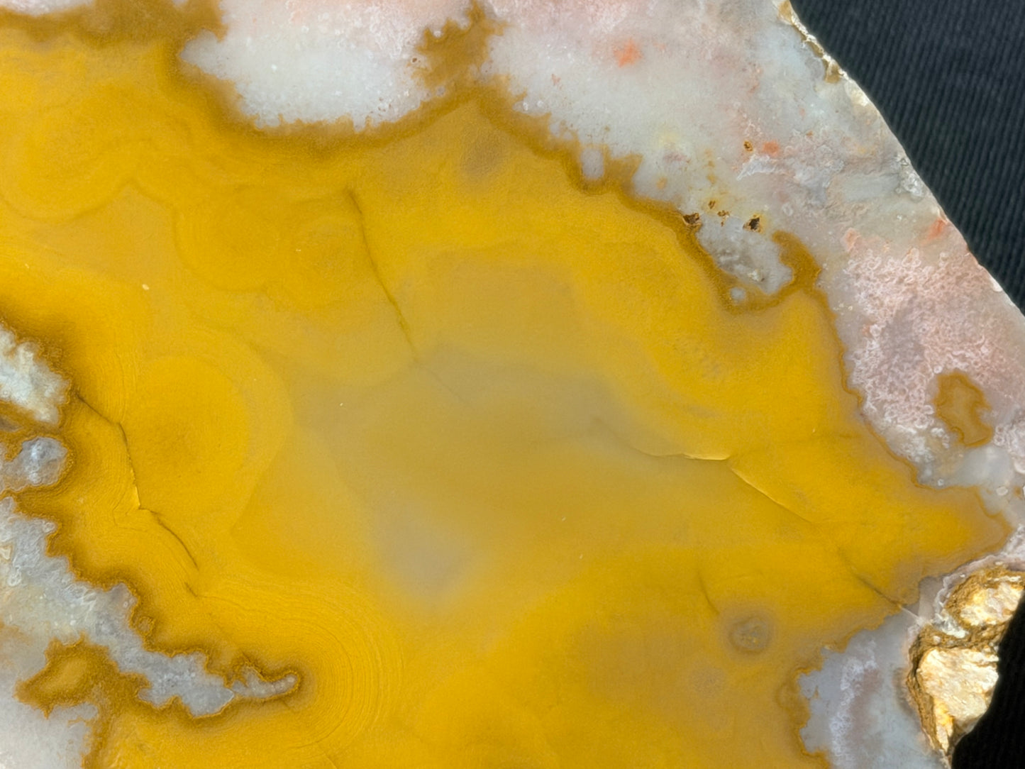 “Reptar” Kentucky agate