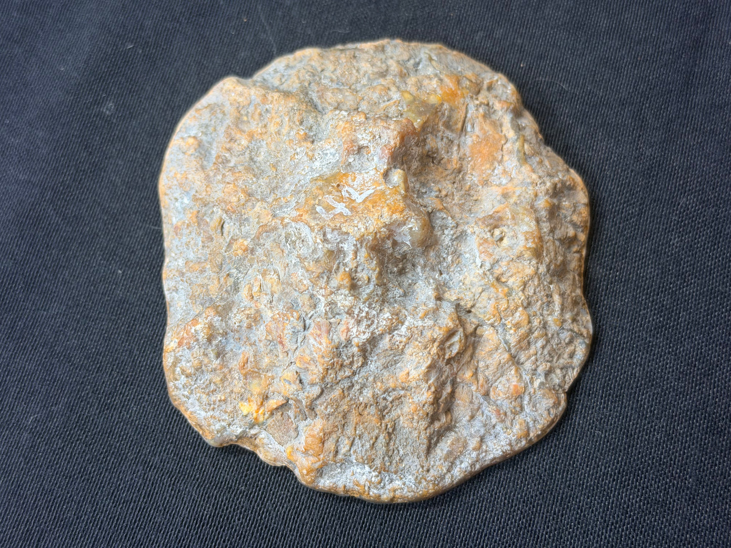 “Reptar” Kentucky agate