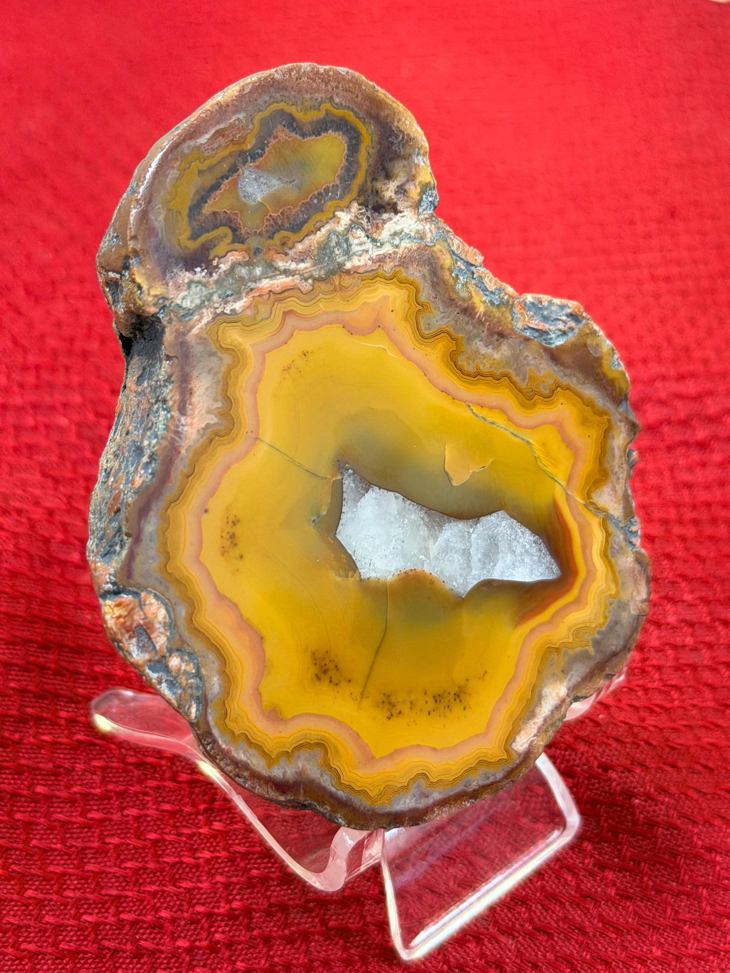 Hat banded kentucky agate