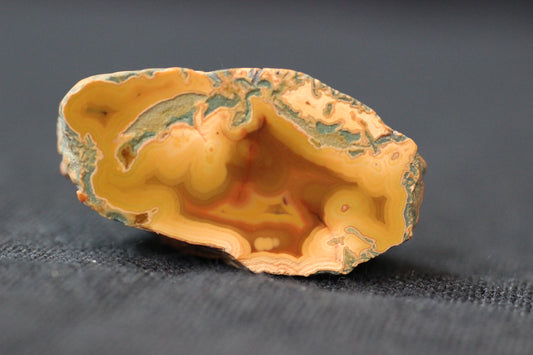 "Sucker Fish" KY Agate